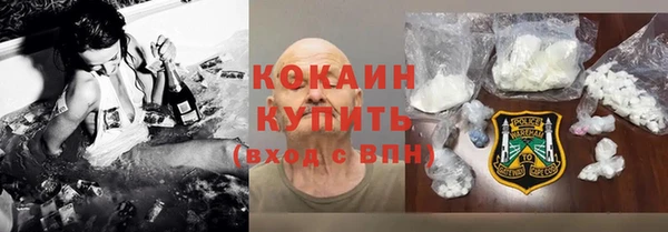прущие крисы Бородино