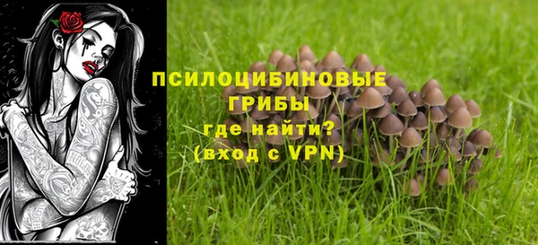 герыч Богородск