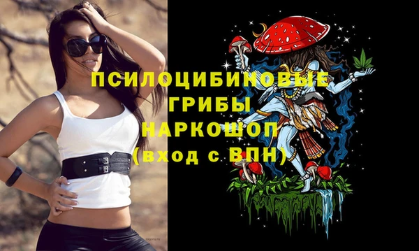 прущие крисы Бородино