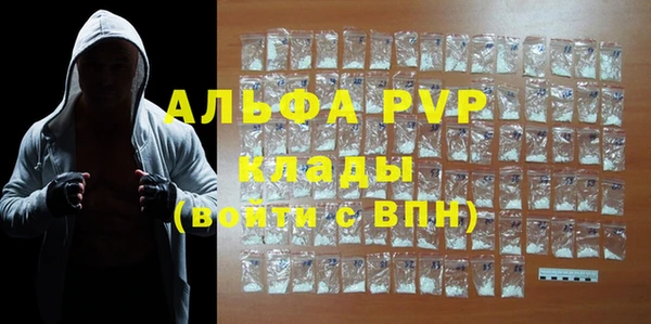 прущие крисы Бородино