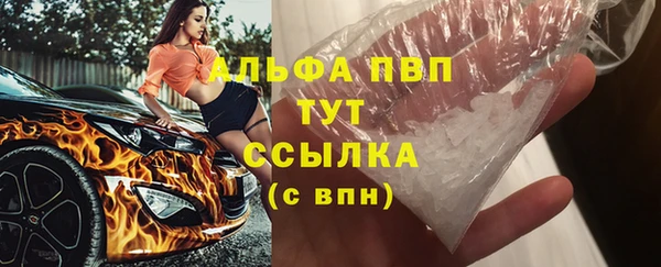 мдпв Богданович