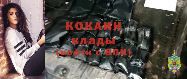 сатива Бугульма