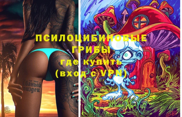 прущие крисы Бородино