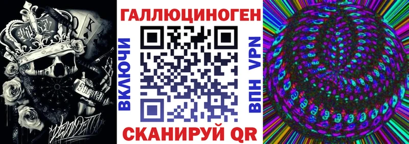 Псилоцибиновые грибы Psilocybe  Гудермес 