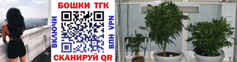 Бошки Шишки конопля Гудермес